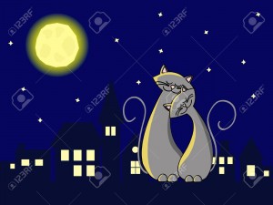 9932900-two-grey-cats-in-love-sitting-at-the-roof-at-night-Stock-Vector